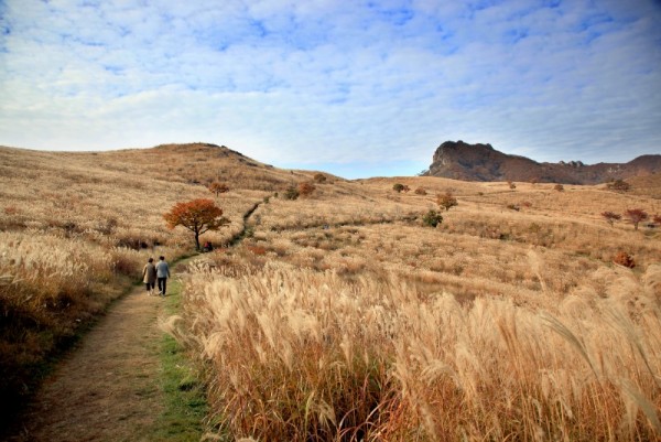 황매산.JPG