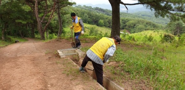 0114 산림녹지과 기간제근로자 모집1(활동장면).jpg