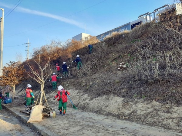 장흥군, 관내 녹화 경관 개선에 본격적으로 착수.jpg